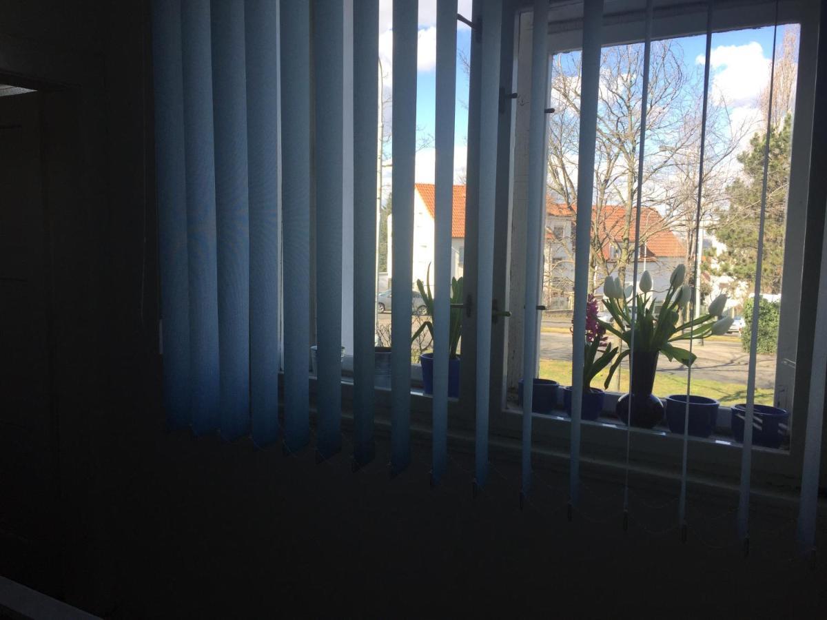 Blue Apartment In Beautiful English Style Garden With Atmosphere Πράγα Εξωτερικό φωτογραφία